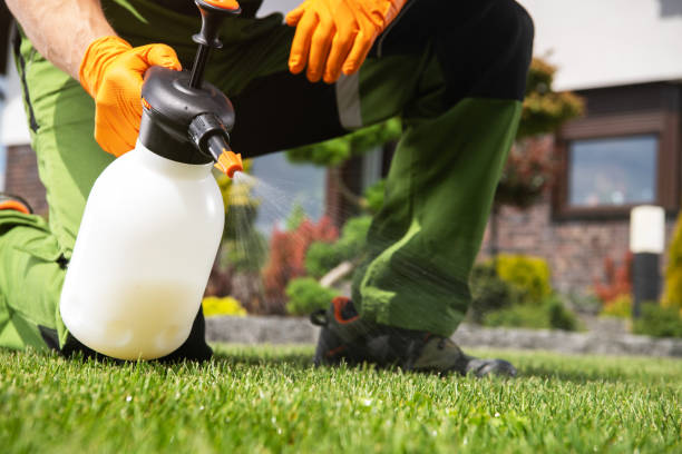 Trusted Dayton, NV Pest Control Experts